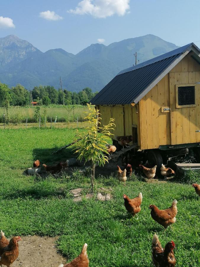 Hotel Glamping Mohorjev Grunt Preddvor Exterior foto